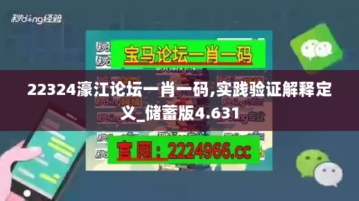 22324濠江论坛一肖一码,实践验证解释定义_储蓄版4.631