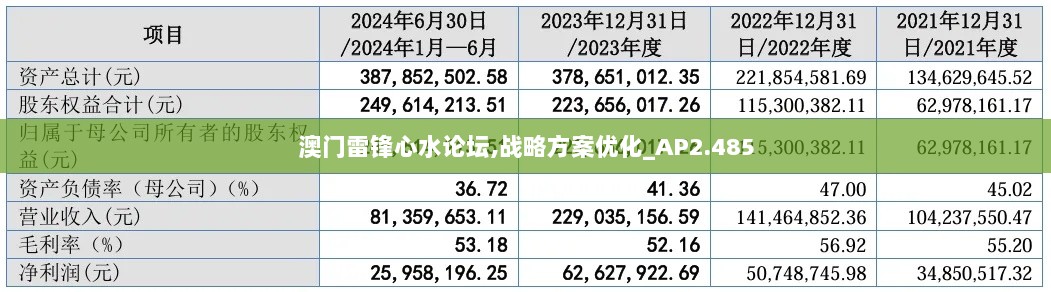 澳门雷锋心水论坛,战略方案优化_AP2.485