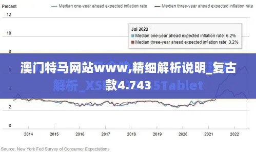 澳门特马网站www,精细解析说明_复古款4.743