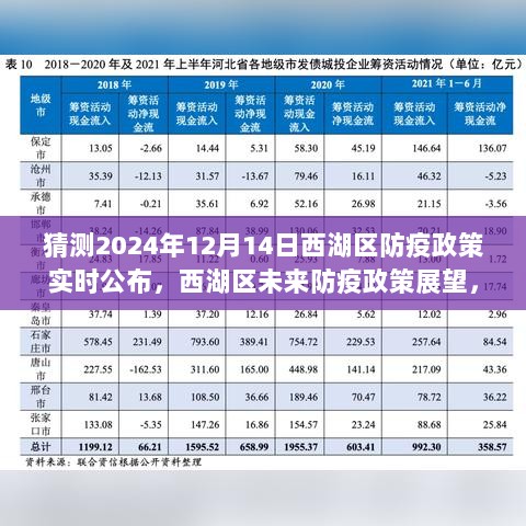 西湖区未来防疫政策展望，预测至2024年12月的变化与实时更新防疫政策分析