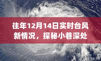 历年12月14日台风影响下的独特小店，探秘隐藏宝藏与实时台风新动态