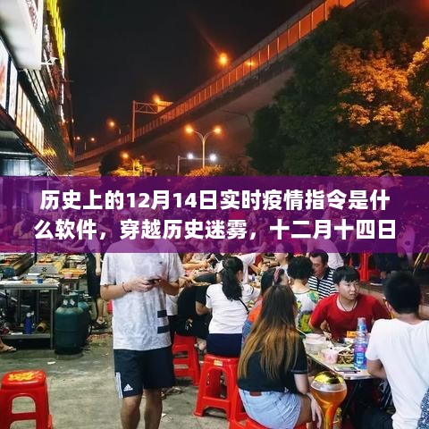 穿越历史迷雾，揭秘十二月十四日疫情下的软件指令与秘境探索之旅