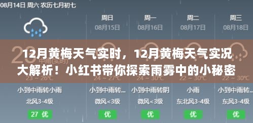 雨雾中的秘密，12月黄梅天气实时实况解析，小红书带你探索