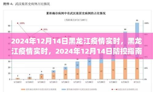 黑龙江疫情实时更新，防控指南与行动步骤（2024年12月14日）