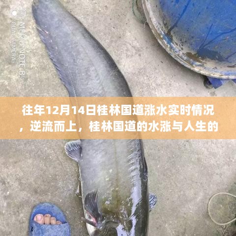 桂林国道涨水背后的故事，逆流而上的人生成长之路