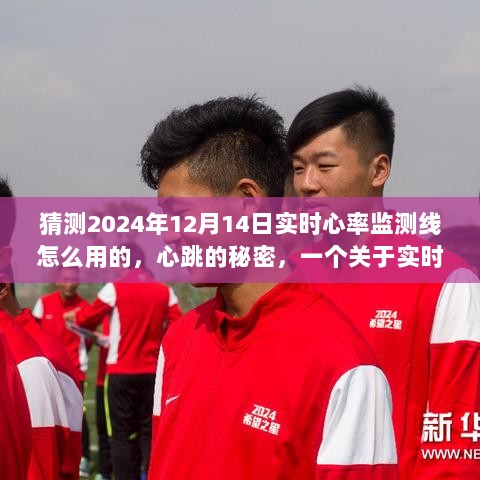 揭秘实时心率监测线，心跳的秘密与未来应用的小故事，预测2024年使用指南