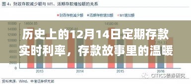 2024年12月17日 第5页