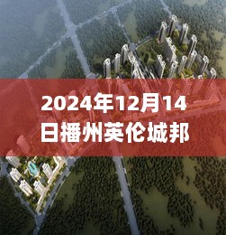 播州英伦城邦，2024年12月14日的时代印记与实时画面