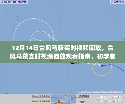 台风马鞍实时视频回放观看指南，初学者与进阶用户均可轻松掌握的详细步骤（12月14日回顾）