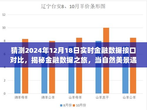 揭秘金融数据之旅，探索实时金融数据接口对比与心灵自然美景的交融在2024年12月18日启程