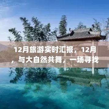 12月旅行纪实，与自然共舞，心灵平静之旅的最新进展