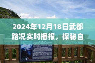 武都路况实时播报，探寻自然秘境之旅，内心平静的旅程启程