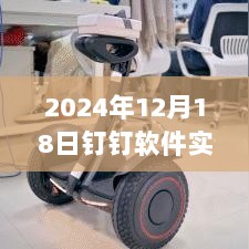 深度评测，钉钉软件实时定位功能在2024年12月18日的全面解析