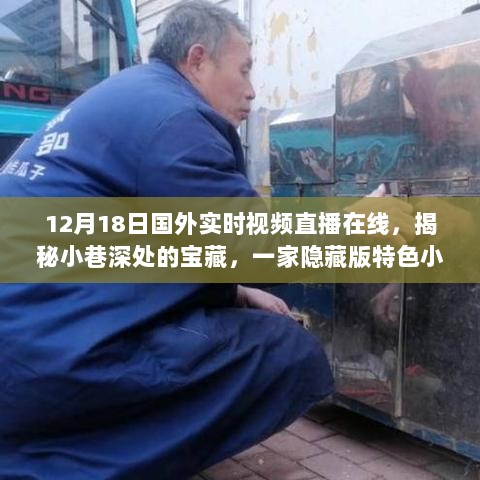 揭秘隐藏版特色小店，国外实时视频直播之旅的宝藏发现日（12月18日）