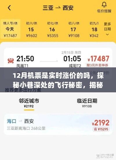 揭秘12月机票实时涨价之谜，小巷深处的飞行秘密与独特小店的奇遇