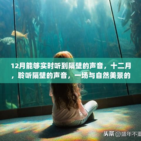 12月隔壁声音之旅，与自然美景的亲密探寻，内心平和与喜悦的追寻