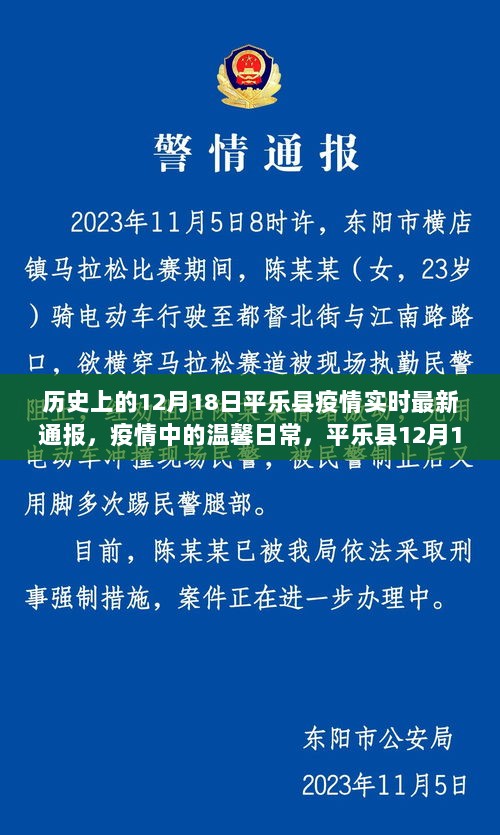 平乐县疫情实时通报，阳光下的战疫故事与温馨日常，12月18日最新更新