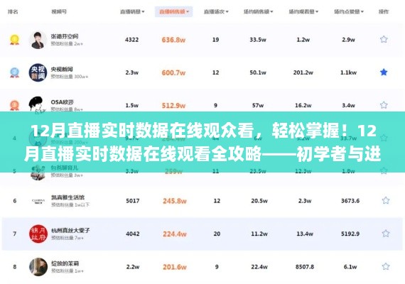 12月直播实时数据在线观看全攻略，从初学者到进阶用户的指南