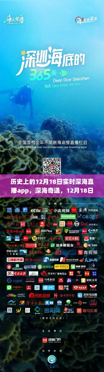 历史上的深海奇遇，深海直播app的12月18日海底直播日回顾