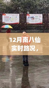 12月南八仙雪舞路况深度解析与实时动态揭秘