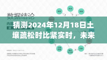 2024年12月19日 第8页