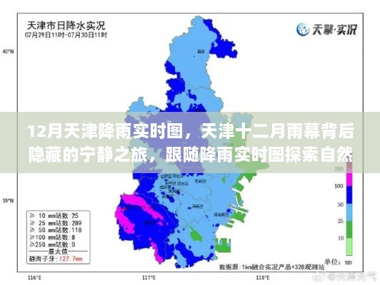 2024年12月20日 第13页