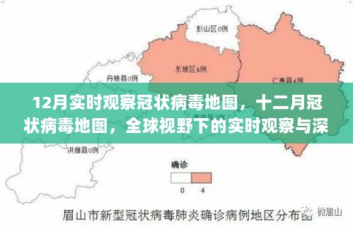 全球视野下的十二月冠状病毒实时观察与深度思考地图