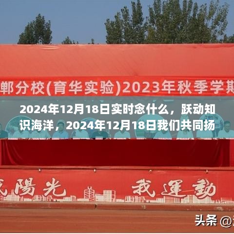 扬帆起航，跃动知识海洋，共同迎接2024年12月18日的到来