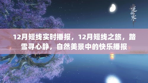 12月短线之旅，踏雪寻心静，自然美景中的快乐实时播报