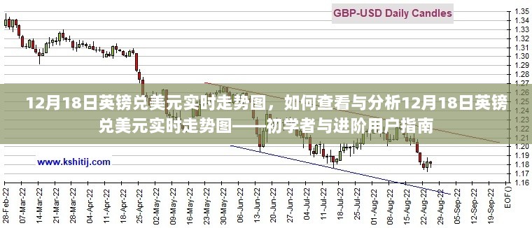 2024年12月20日 第10页