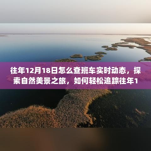 探索自然美景之旅，往年12月18日班车实时动态追踪指南，寻找心灵宁静之旅