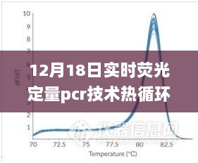 12月18日实时荧光定量PCR技术热循环条件探索，荧光梦想中的变化力量与共同飞跃