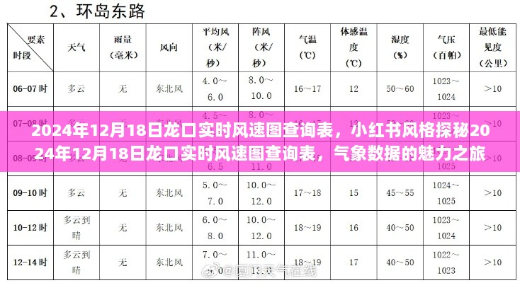 探秘龙口实时风速图，气象数据的魅力之旅（小红书风格）