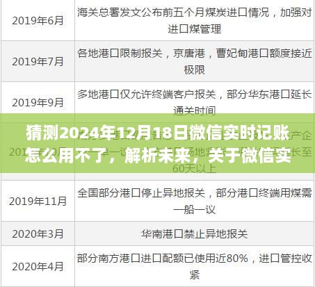 微信实时记账功能在2024年的潜在问题与解决方案，功能运行预测及应对策略