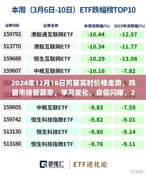 鸡苗市场新篇章，励志故事背后的价格走势与自信闪耀