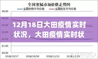 12月18日大田疫情实时状况深度解读与测评报告