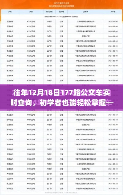 往年12月18日乘坐公交车实时查询攻略，初学者轻松掌握177路公交实时信息