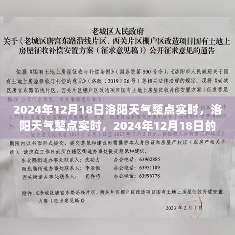 2024年12月18日洛阳天气整点实时深度观察