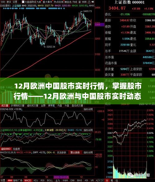 12月欧洲与中国股市实时动态，全面行情跟踪指南