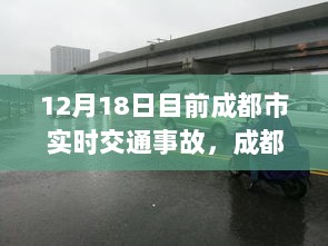 成都市交通事故实时报道，多方观点碰撞与个人立场分析