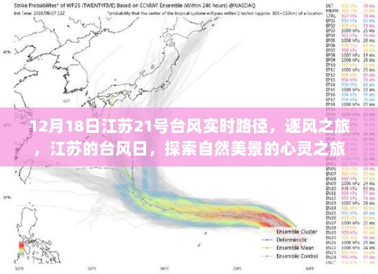 2024年12月21日 第9页