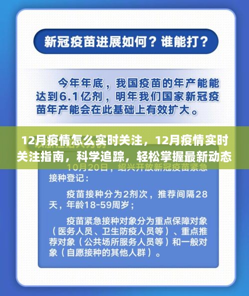 12月疫情实时关注指南，科学追踪，轻松掌握最新动态