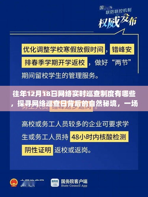 往年12月18日网络实时巡查制度深度解析，探寻自然秘境的心灵之旅