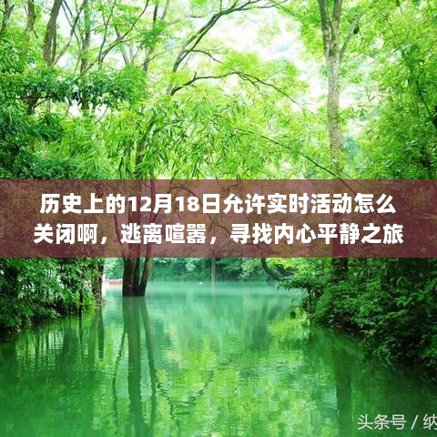 如何关闭历史实时活动？逃离喧嚣，寻找内心平静之旅的指南