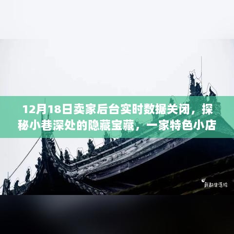 探秘小巷深处的隐藏宝藏，特色小店背后的静默数据之夜与故事揭秘