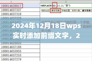 WPS实时前缀文字添加，高效文本编辑的新趋势（日期标注）
