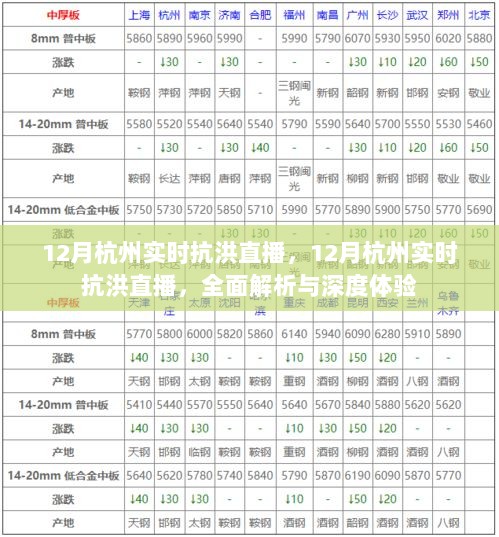 杭州抗洪实时直播，全面解析与深度体验