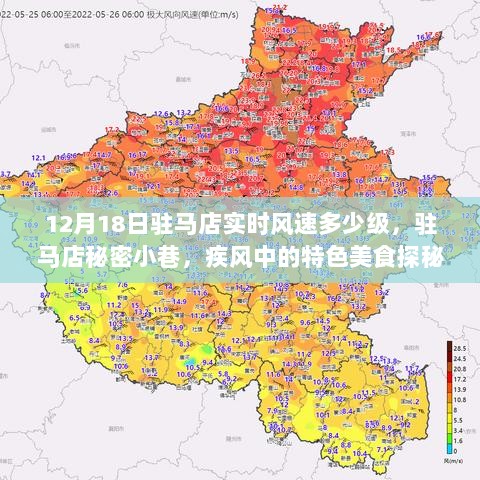 驻马店秘密小巷，疾风中的美食探秘与实时风速揭秘