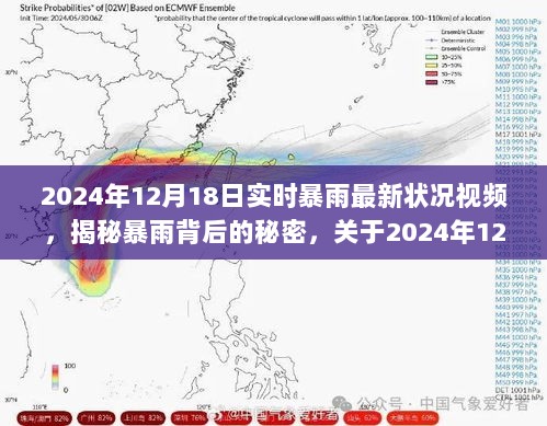 揭秘2024年实时暴雨背后的秘密，最新状况视频解析与实时报道