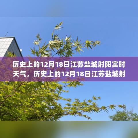 历史上的江苏盐城射阳12月18日天气回顾，逆风翱翔，以气象为启示的励志人生篇章开启！